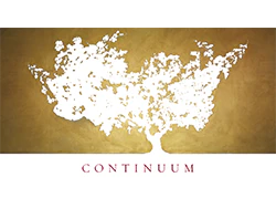 Continuum Estate